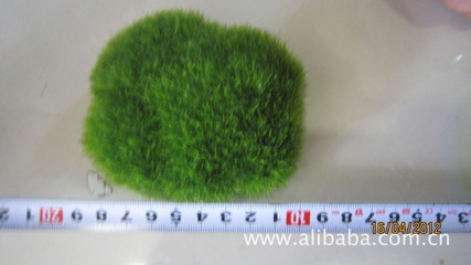 石頭-植絨石頭-禮品、工藝品、飾品-求購(gòu)產(chǎn)品詳情