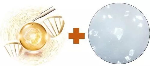 保養(yǎng)丨致宅家的你 囤吃囤喝別忘囤白,假期延長(zhǎng)護(hù)膚可不能延時(shí)