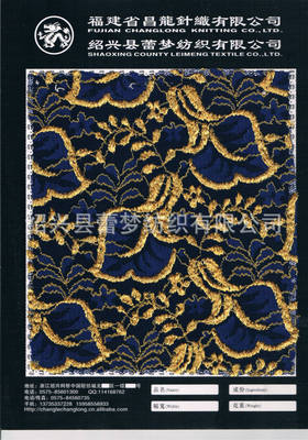 【大量現貨供應新款錦綸壓紗蕾絲面料】價格,廠家,圖片,花邊類,紹興縣蕾夢紡織-